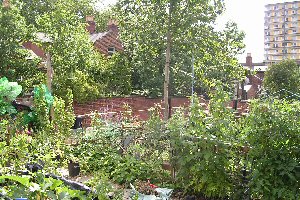 Picture of Broomhall Community Garden
